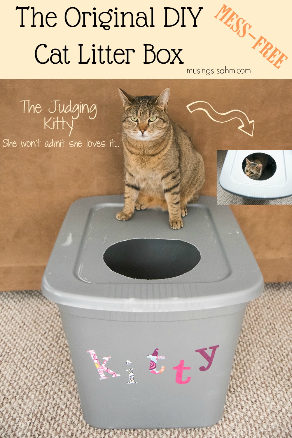 The Original DIY Mess Free Cat Litter Box Musings From a Stay At Home Mom