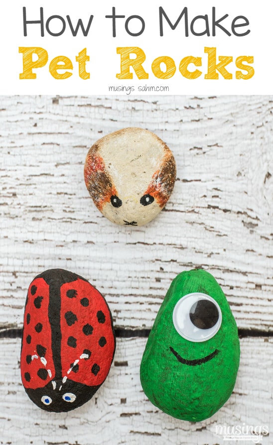 How to Make Pet Rocks Musings From a Stay At Home Mom